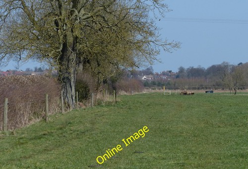 Photo 6x4 field - photo, north