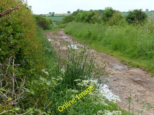 Photo 6x4 north along - photo, green