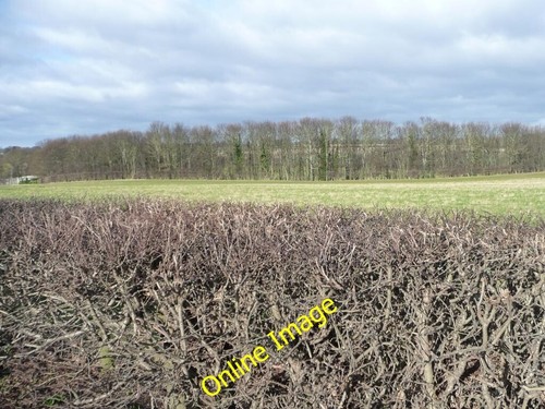 Photo 6x4 ingle bank - photo, wood